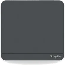 Schneider Electric AvatarOn switch