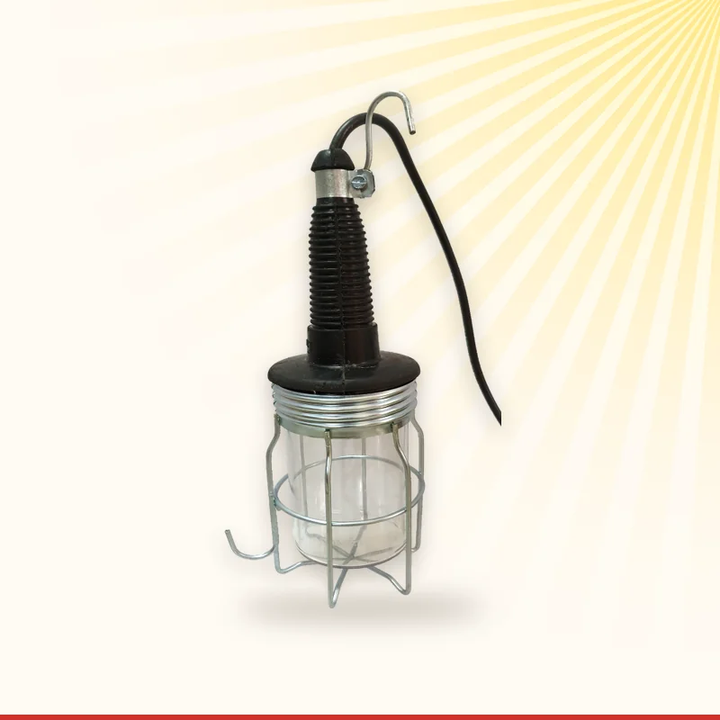 Comet LED hand lamp with mesh guard and hook, Monika Electric Corporation, Ahmedabad