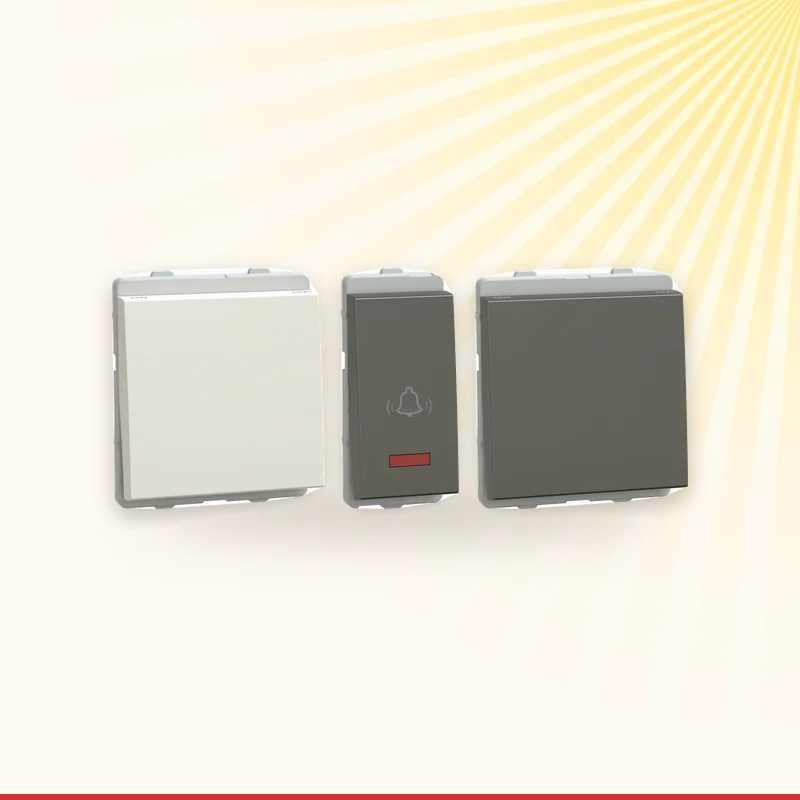 Schneider Electric modular switches and sockets on a wall plate, Monika Electro Tech, Ahmedabad