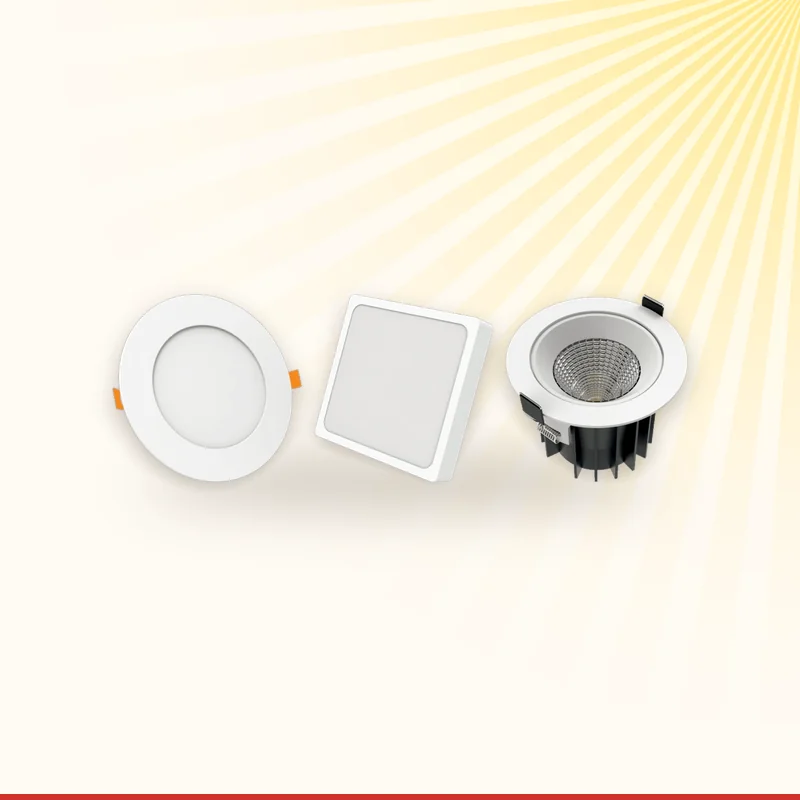 Star Eagle LED panel lights and COB downlights in an office ceiling, Monika Electric Corporation, Ahmedabad