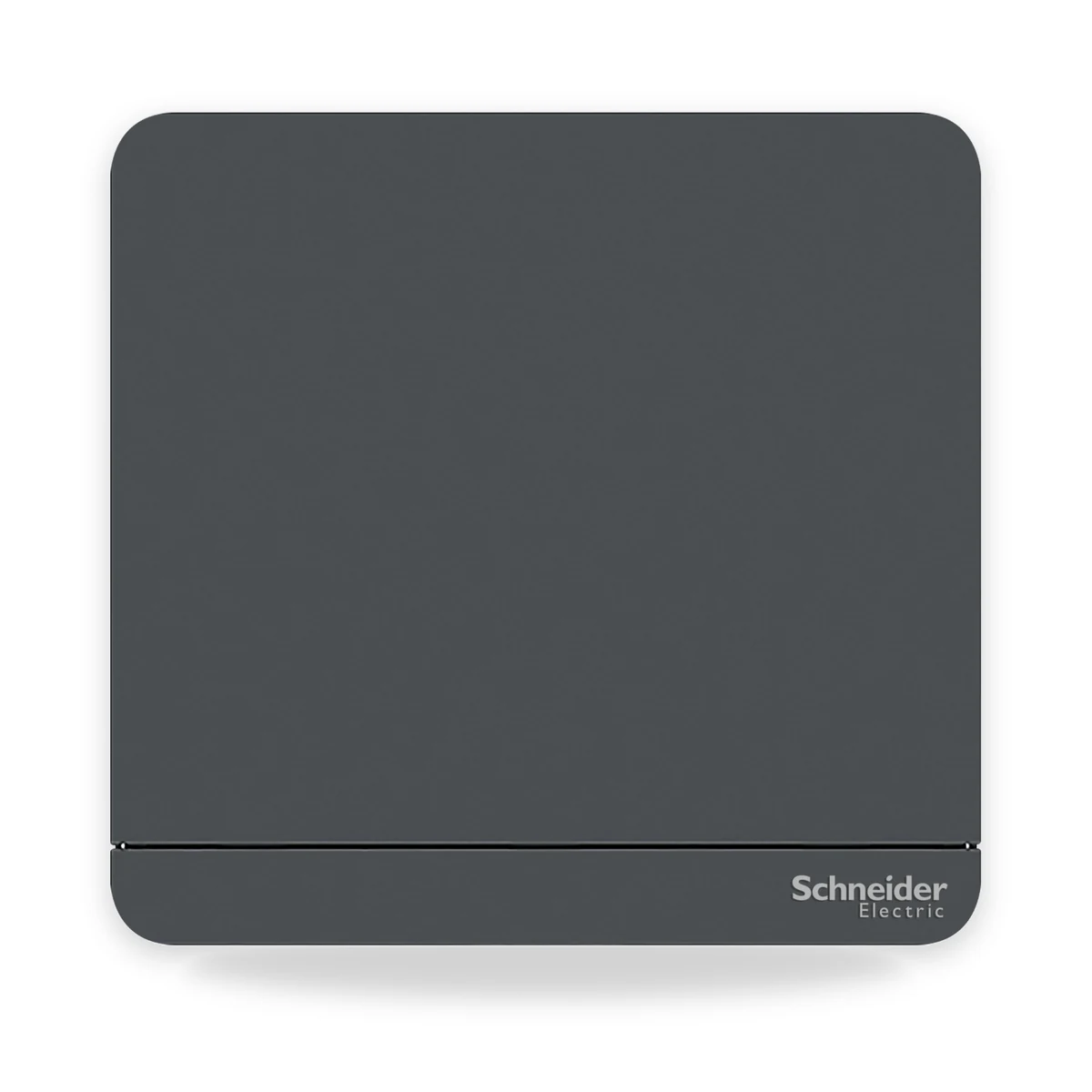 Schneider Electric AvatarOn switch with changeable wood-finish faceplate